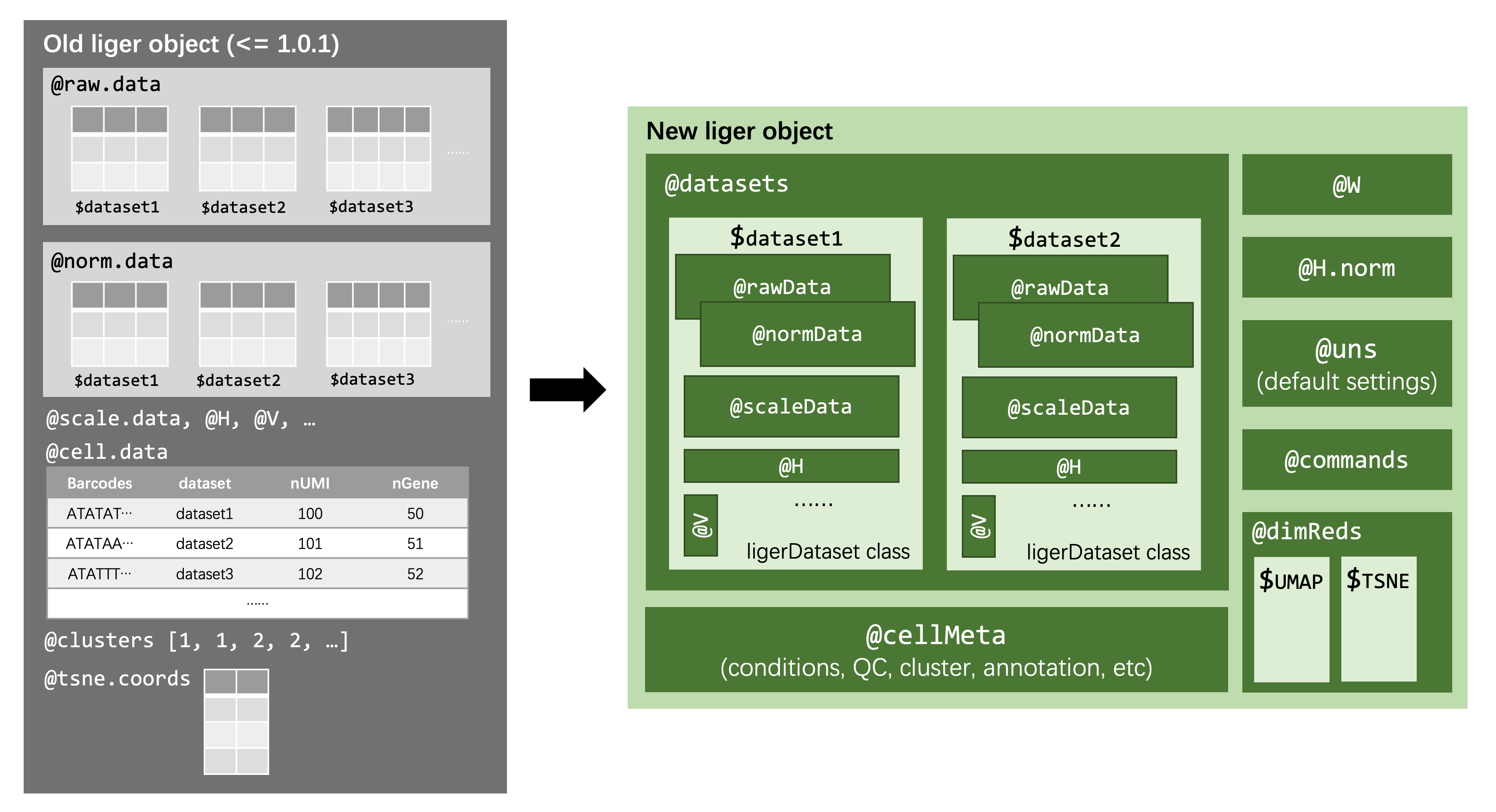 liger_object_structure